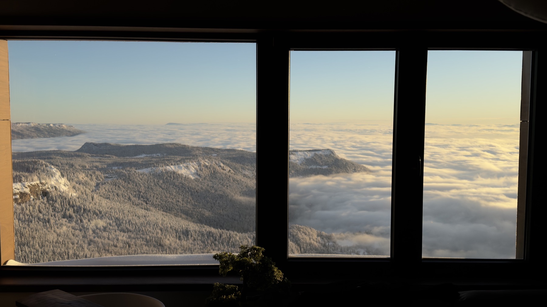 IKIGAI Horizon window light and material detail